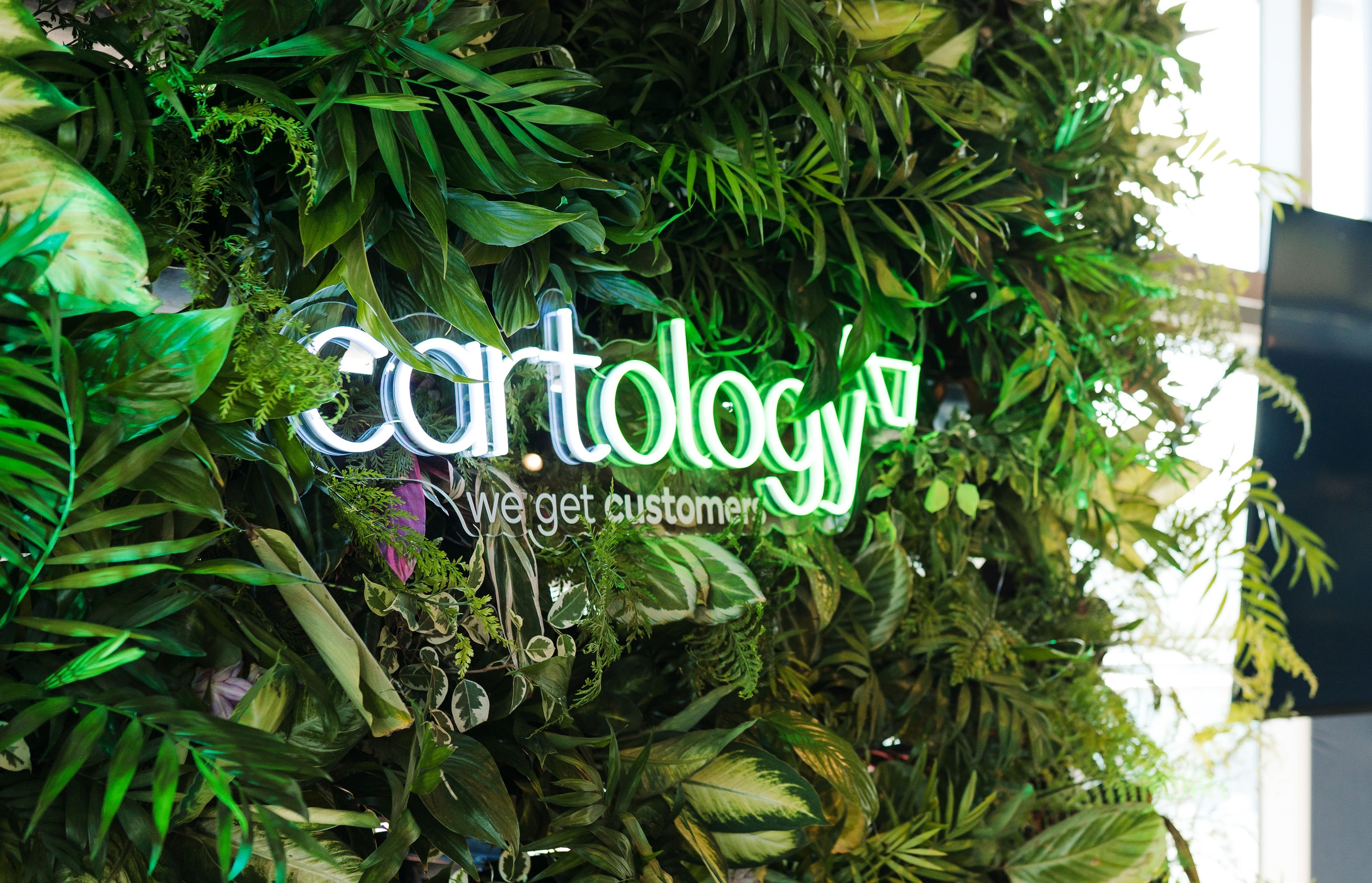 Cartology-62 (1).jpg